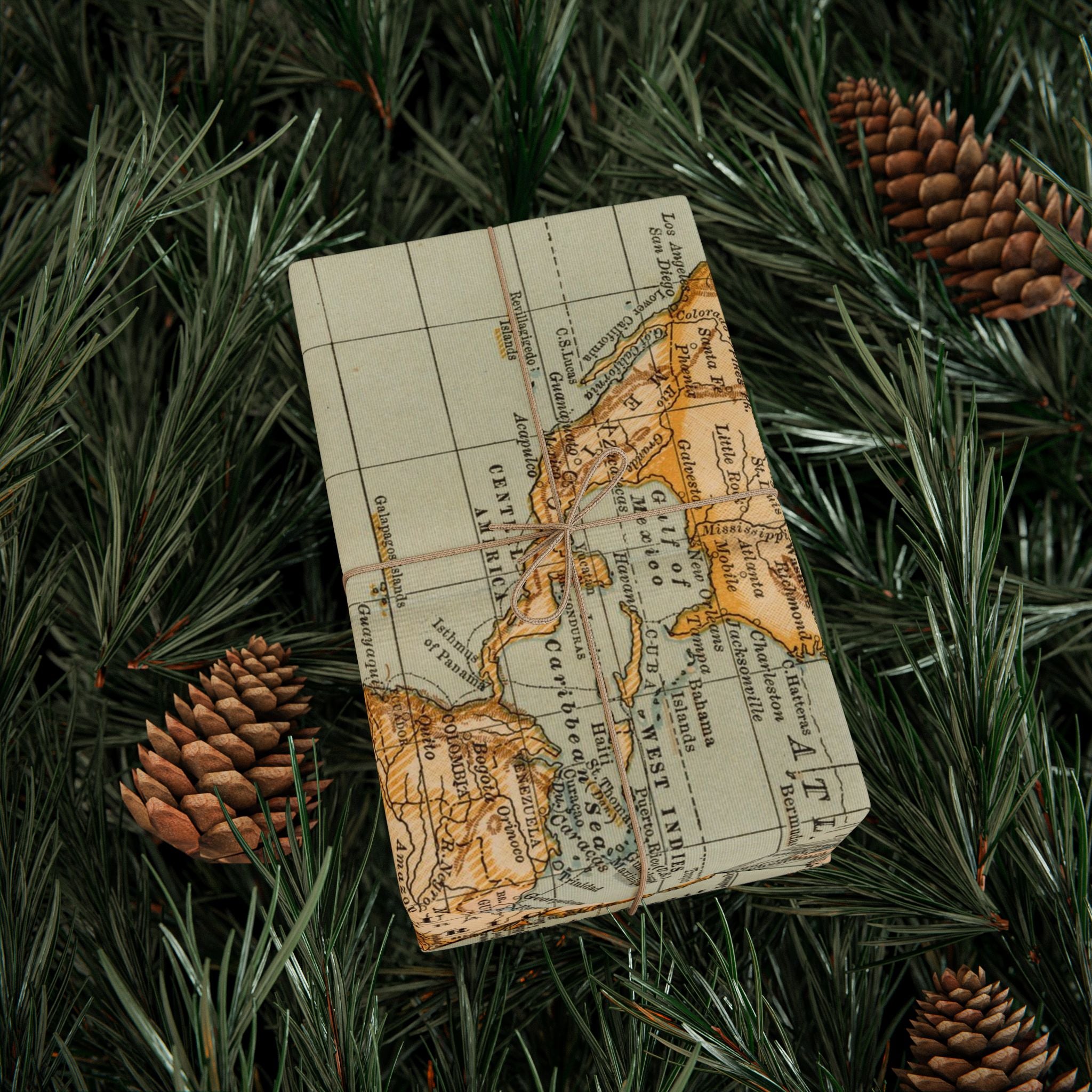Wrapping Paper Roll, World Map Vintage Gift Wrap, Antique Travel Map Design