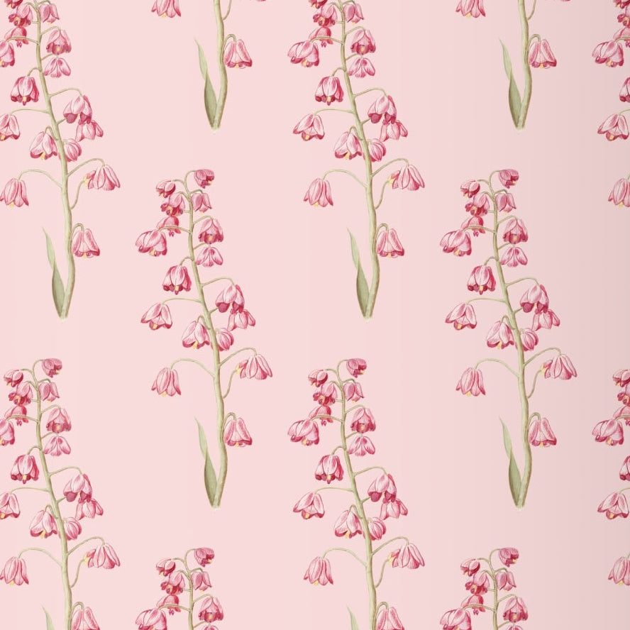Pink Floral Gift Wrap Roll — Watercolor Tulip Wrapping Paper for Mother's Day & Spring Celebrations