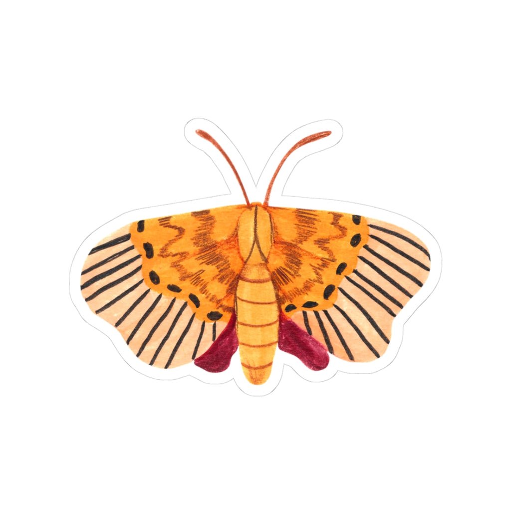 Golden Moth Kiss-Cut Sticker — Watercolor-Inspired Insect Decal for Laptops & Journals