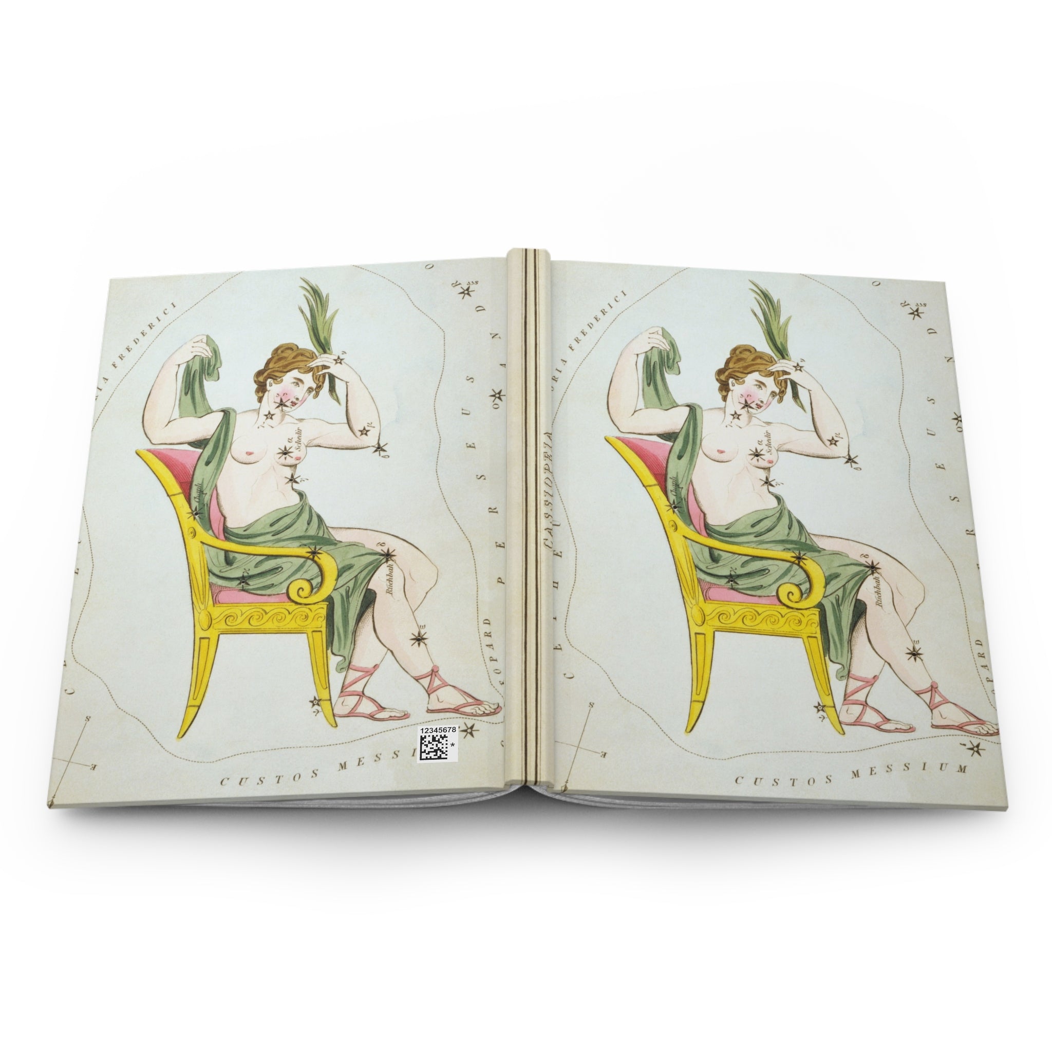 Hardcover Journal, Zodiac Constellation Notebook, Vintage Astrology Design