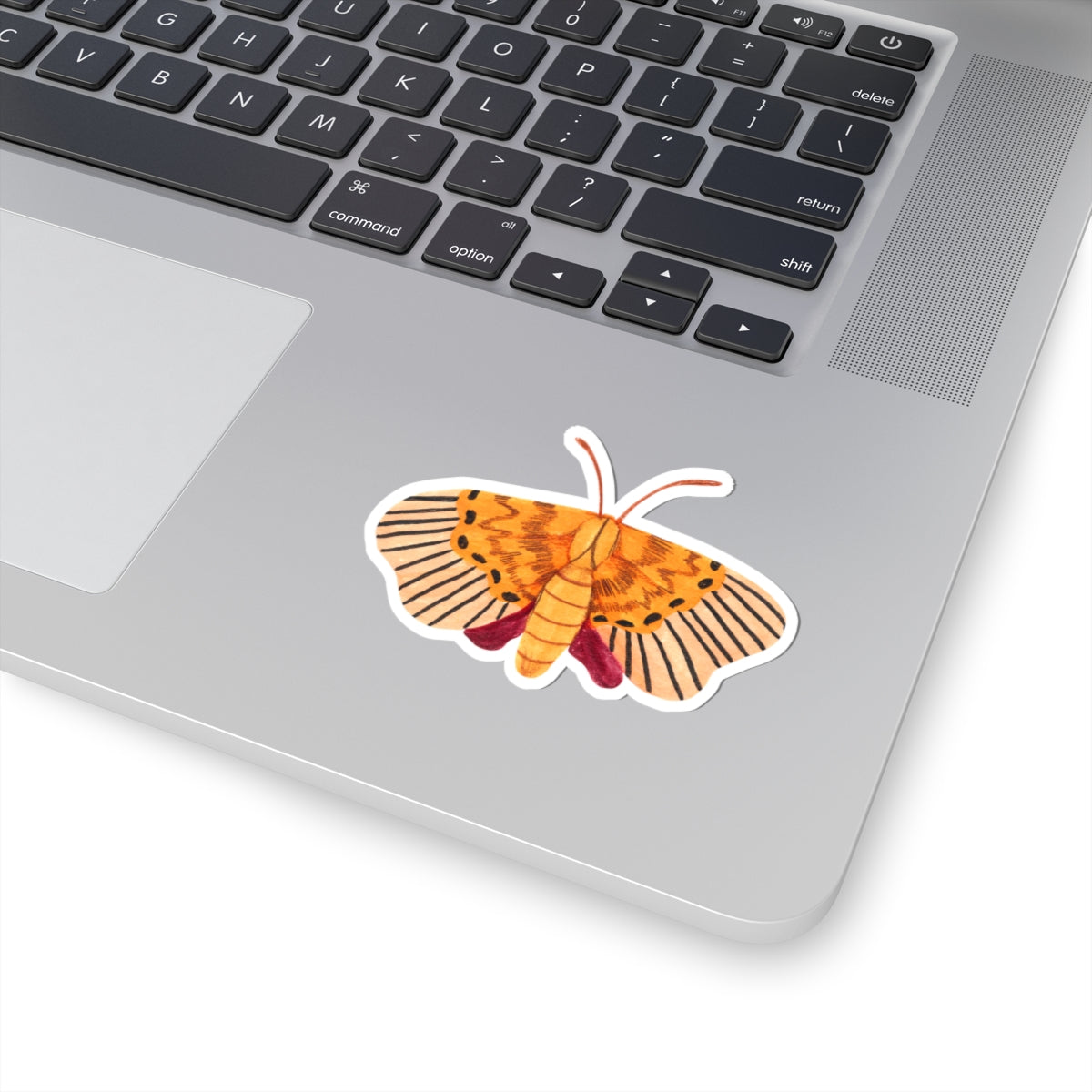 Golden Moth Kiss-Cut Sticker — Watercolor-Inspired Insect Decal for Laptops & Journals