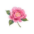 Peony Sticker | Pink Floral Vinyl Laptop Decal